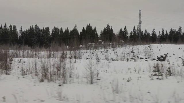 Ретроэлектричка ЭР2К-980 и железнодорожная линия Лосево-Каменногорск смотреть онлайн