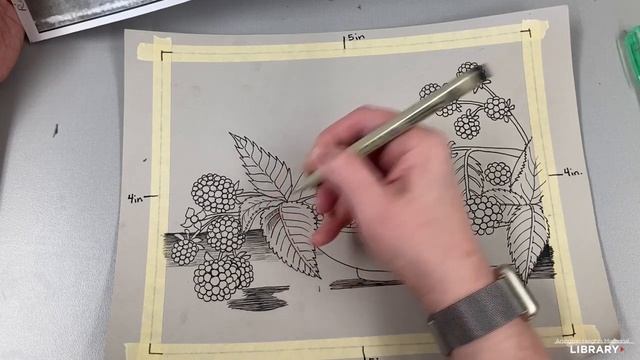 Art with Alayne: Blackberries смотреть онлайн