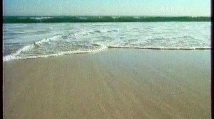 Анонс и рекламный блок (ТВ-3, 19.05.2007)