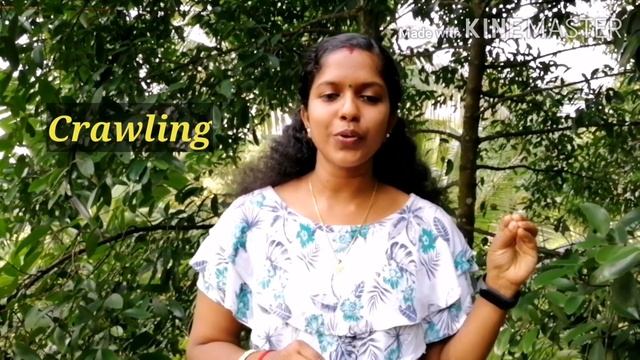 How search engine works? Crawling, Indexing, Ranking explained |SEO Tips смотреть онлайн