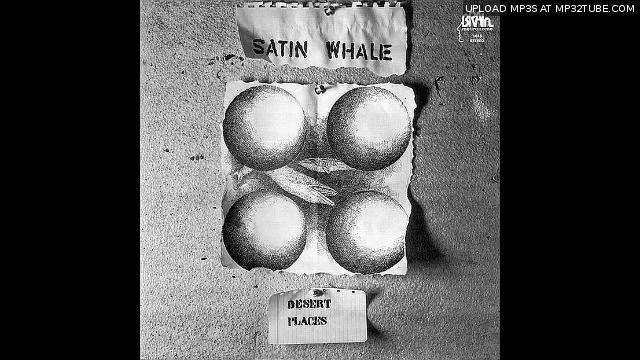 Satin Whale - Perception смотреть онлайн