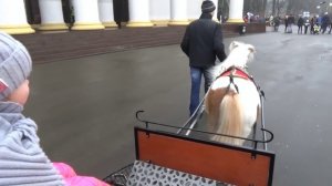 Подарки Кате на День Святого Николая ВЛОГ Резиденция Деда Мороза в Киеве St. Nic