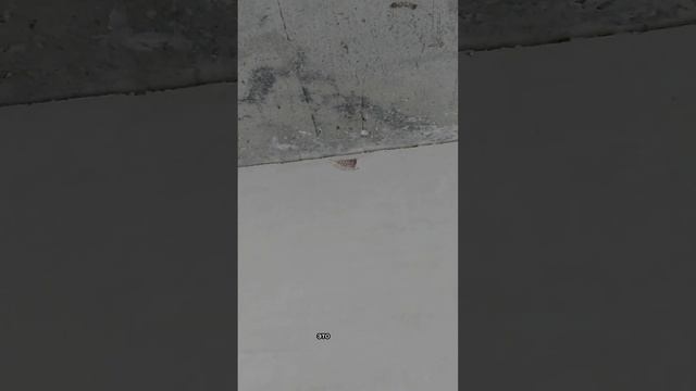 Приемка в ЖК Richmond Residence смотреть онлайн