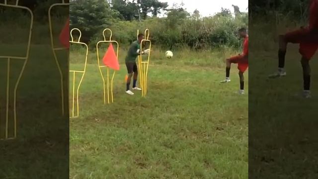 Goal keeper training DFA rules смотреть онлайн
