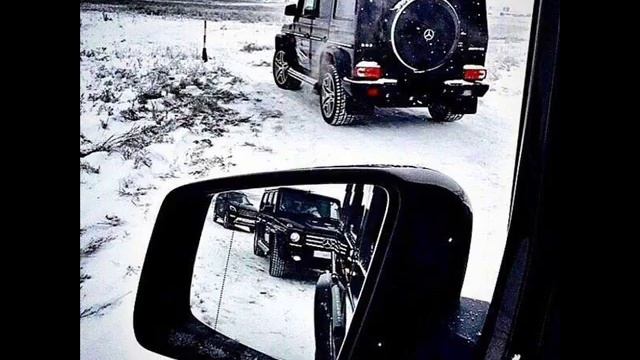 Колибри . . . .