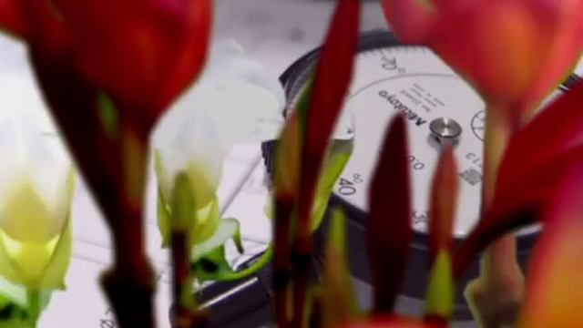 Profilo aziendale Zenit смотреть онлайн