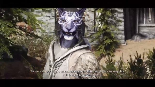🐱 Finally downloaded Inigo | A Skyrim Follower смотреть онлайн