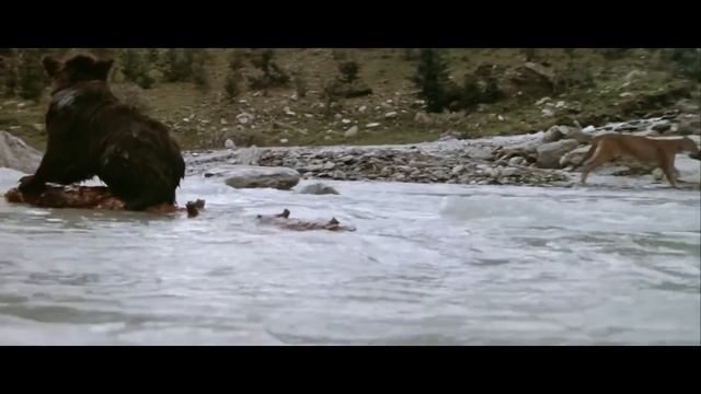 Не забывай, что Бог с тобой | Красивая песня и клип | Христианские песни смотреть онлайн