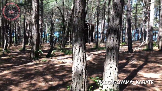 Джанхот смотреть онлайн