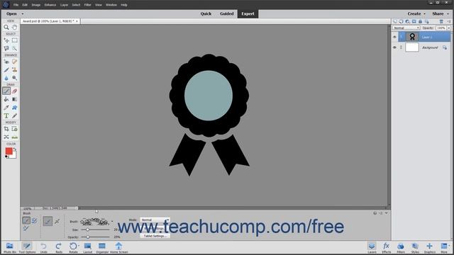 Photoshop Elements 2020 Tutorial The Brush Tool Adobe Training смотреть онлайн