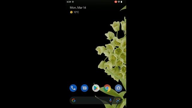 PixelOS twelve Android 12 monthly Redmi Note 4/4x mido смотреть онлайн