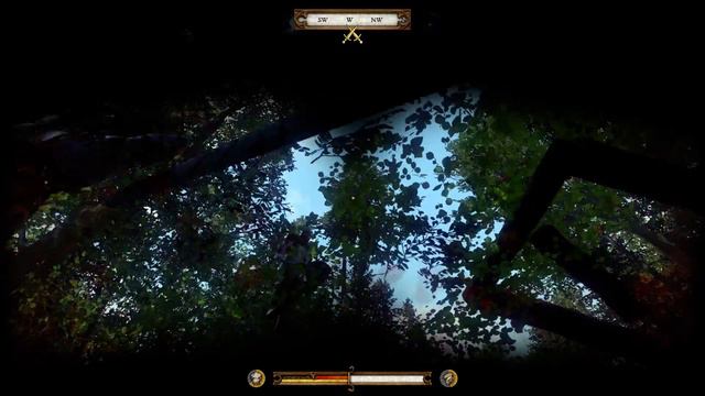 Kingdom Come Deliverance - Fell under the map (Old Video) смотреть онлайн