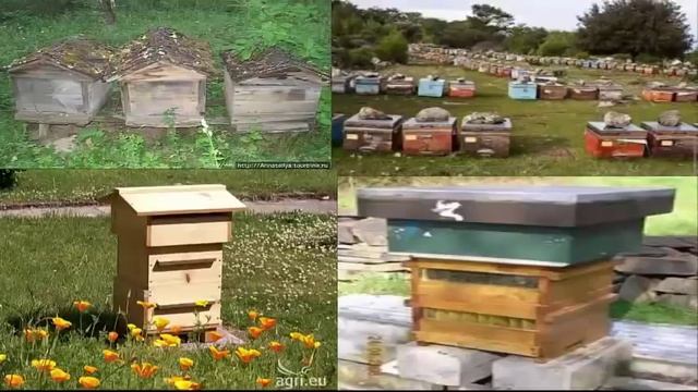 Ульи для пчел,производитель Калуга-Ульи смотреть онлайн