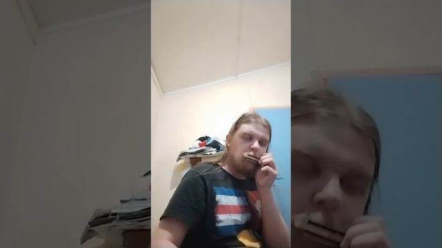 Ode to Joy harmonica cover key of C hohner rocket смотреть онлайн