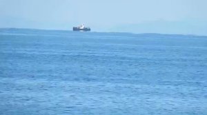 ЛОХНЕССКОЕ ЧУДОВИЩЕ - Миф или Реальность ?