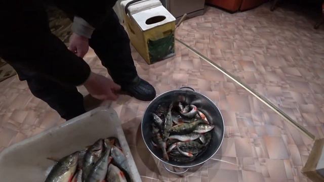 Приехал домой с рыбалки. Жалею, что не взял с собой камеру. смотреть онлайн