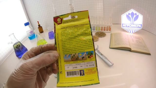 Тыква крупноплодная Стофунтовая. Аэлита смотреть онлайн