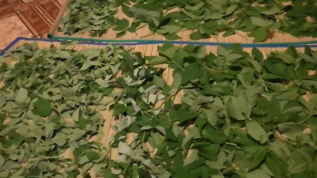 Секреты Мастеров Ремонта