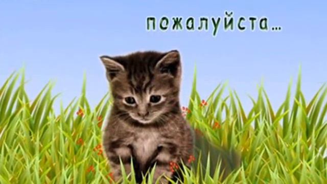 Толкунова Я не могу иначе смотреть онлайн