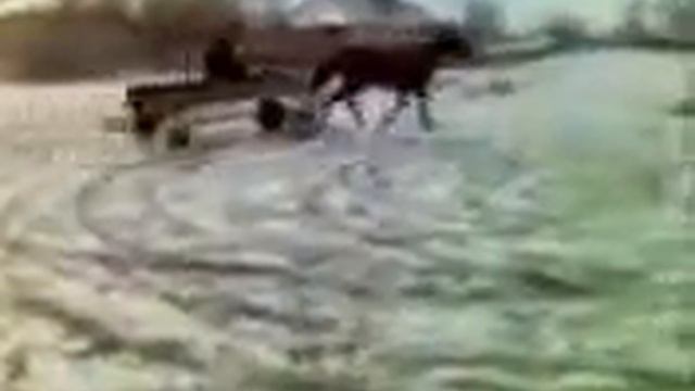 Forsaj 1 смотреть онлайн