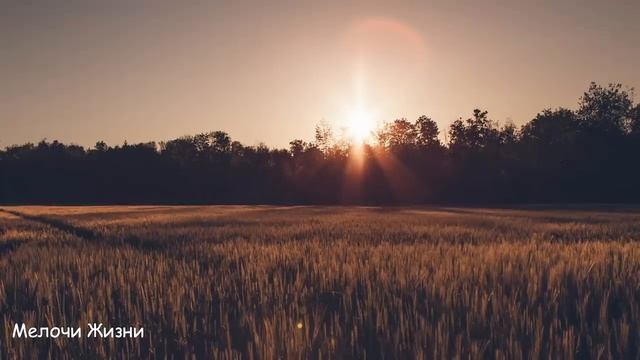 Опаздывая на работу, Саша помог бедному старику, но вечером увидел на пороге сюрприз...