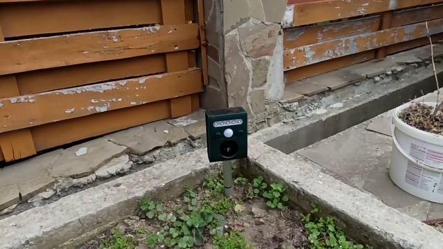 Как отучить кошек гадить на грядки. Ультразвуковой отпугиватель. смотреть онлайн