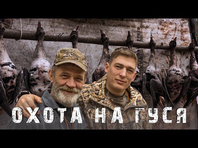 Полесник и Ketner охота на гуся