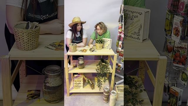 Выбор-2024 смотреть онлайн