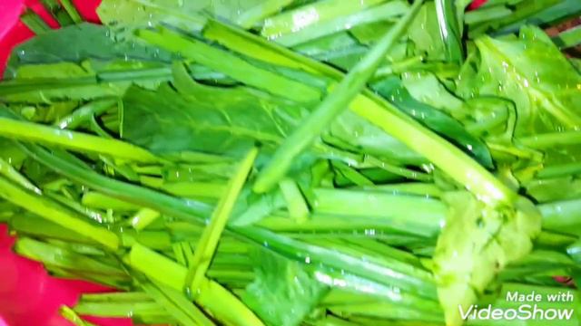 ВИДЕОЗАРИСОВКА 