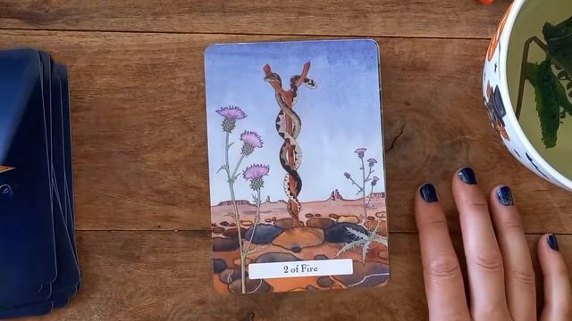 The Witches Wisdom Tarot look-see & flip through. смотреть онлайн