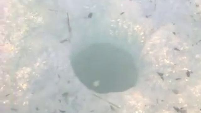 Видео0002 смотреть онлайн