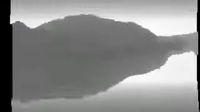 OpenCV Haar Cascade Classifier Used for Cow Tailhead Detection смотреть онлайн