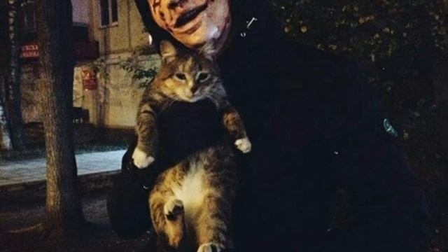 РАСКОЛЬНИКОВ - Я ВЫБИРАЮ СПОРТ,ШТАНЫ И STONE ISLAND смотреть онлайн