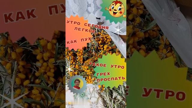 Утро сегодня такое лёгкое, как пух #флешмоб_моментырадости смотреть онлайн