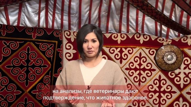 Агротуризм @agroturizmkz смотреть онлайн