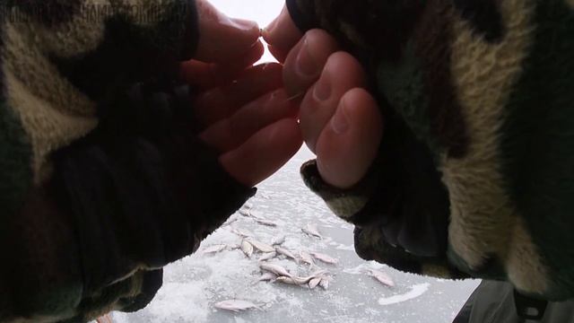 НИКОГДА СТОЛЬКО НЕ ЛОВИЛ\ПОДЛЕЩИК\оз.КОПА\РЫБАЛКА В КАЗАХСТАНЕ\КОКШЕТАУ смотреть онлайн