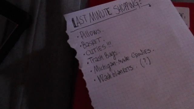 Жизнь в США: НОВЫЙ ГОД в Июне ПОТЕРЯННЫЙ РОЖДЕСТВЕНСКИЙ ВЛОГ #4 December 2016 смотреть онлайн