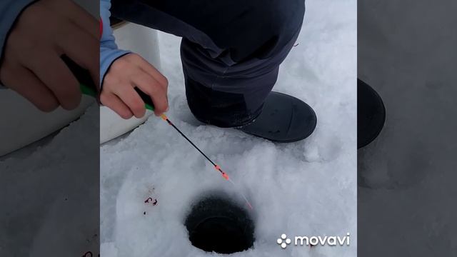 Ловля окуня на мормышку.Поход на котлован Левобережный. смотреть онлайн