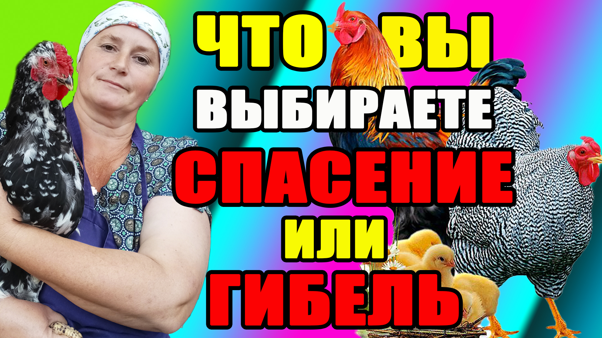 Что ВЫ ВЫБИРАЕТЕ - спасение или гибель ваших кур? смотреть онлайн