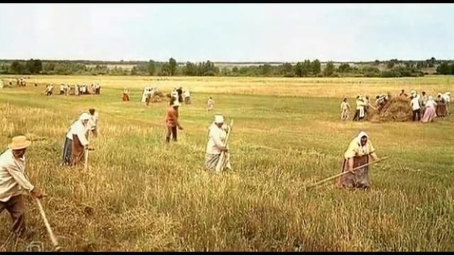 Was Wollen wir trinken ( с русским переводом). смотреть онлайн