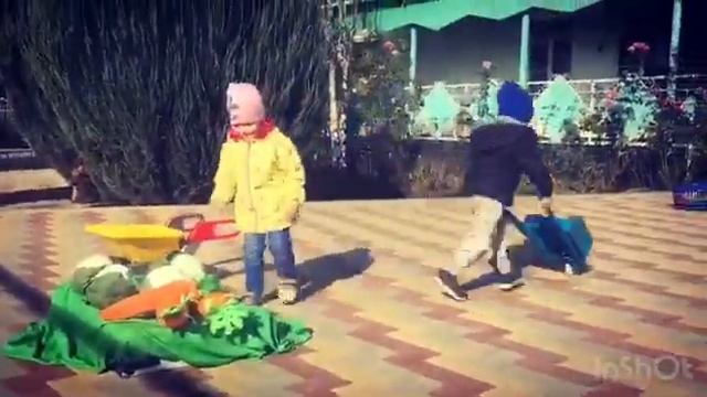 Игра "Собери урожай" (младшая группа), станица Троицкая, МБДОУ детский сад № 13 смотреть онлайн