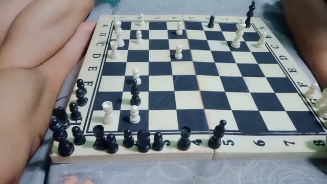 chess game / ivan clay vs merc clay смотреть онлайн