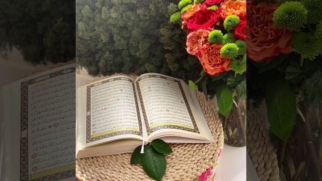 Мухаммад аль Люхайдан #чтениекорана #коран #корансунна # #суннапророкамухаммадаﷺ смотреть онлайн