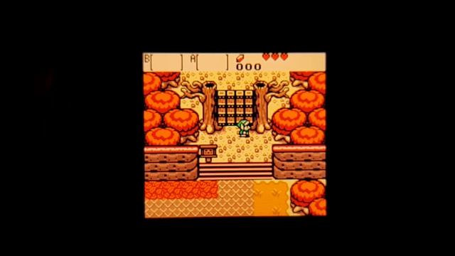 The Legend Of Zelda Oracle Of Seasons GBC (3DS) Gameplay смотреть онлайн