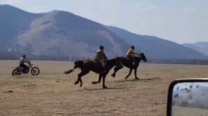 Невероятное зрелище, конные скачки в Монголии
