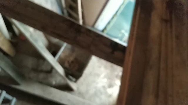избавляемся от осиного гнезда смотреть онлайн