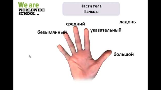 (RU) Webinar Gesty i słowa czyli o mowie ciała смотреть онлайн