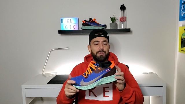 Nike Pegasus Trail 2 GORE-TEX смотреть онлайн