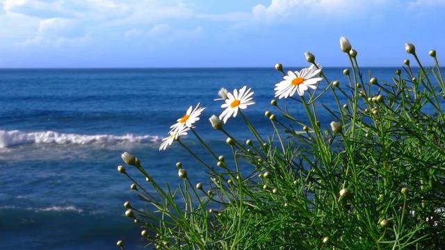 Как обрести гармонию с собой? смотреть онлайн