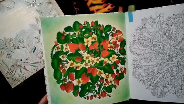 РАСКРАСКИ АНТИСТРЕСС | ЗАКОНЧЕННЫЕ СТРАНИЦЫ смотреть онлайн